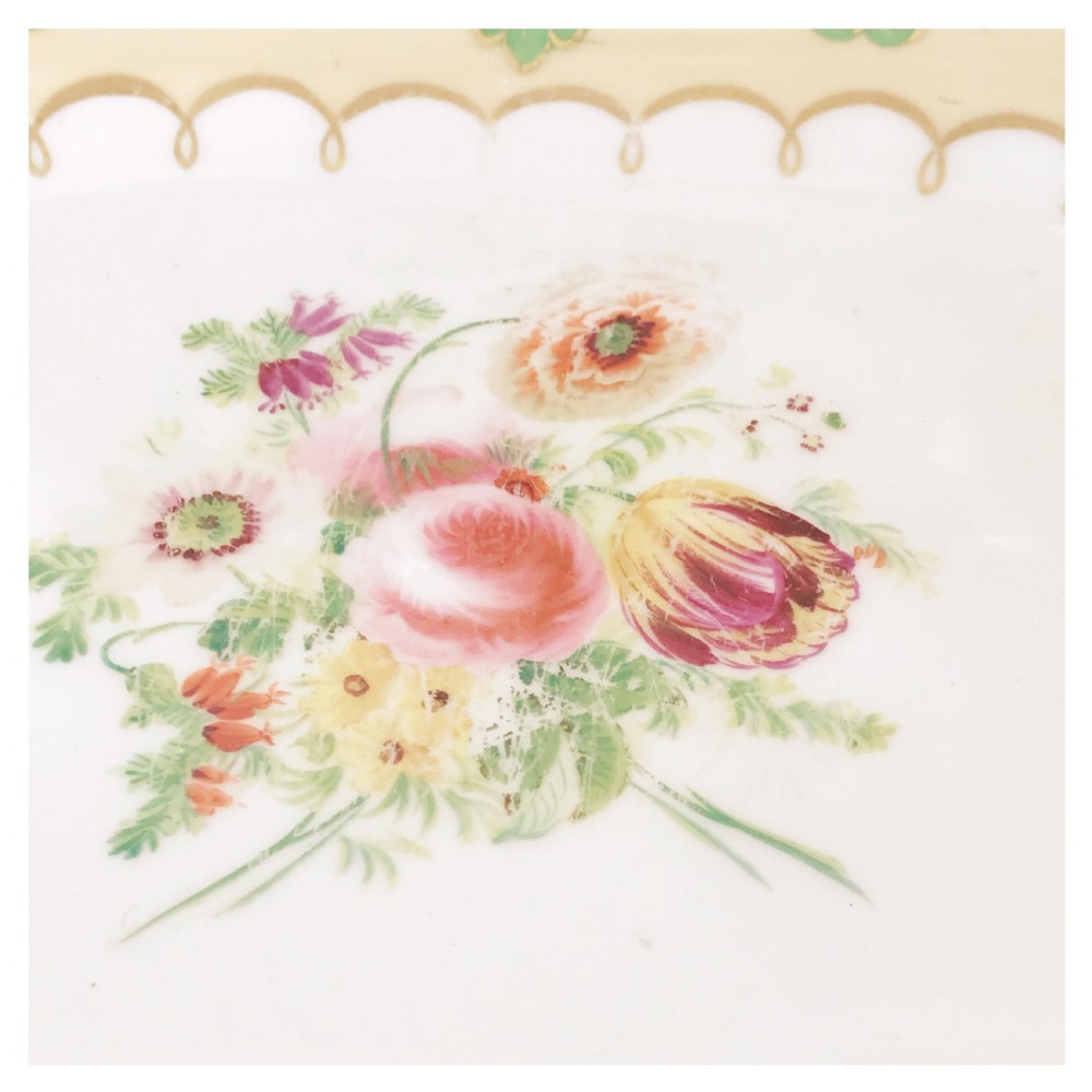 Antique Samuel Alcock handpainted floral dessert service, green foliage View IV