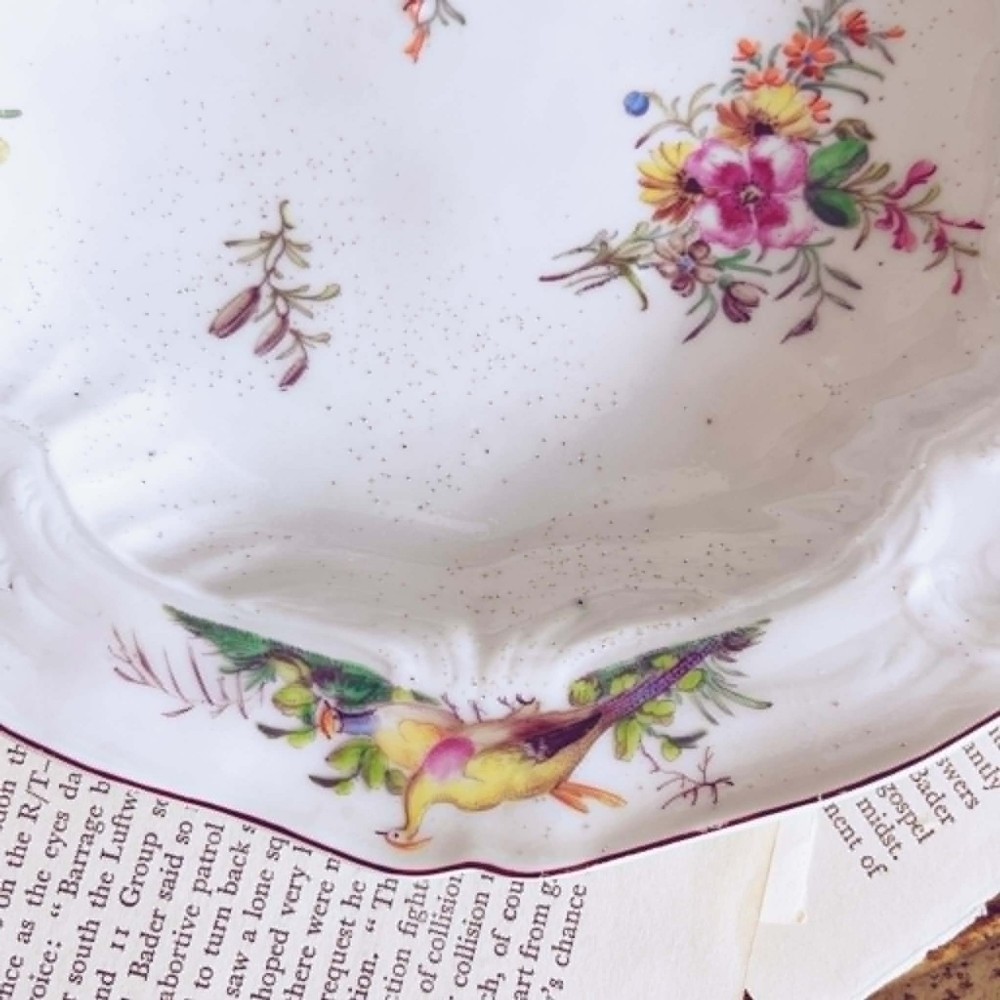 A white soft-paste porcelain moulded dish featuring hand-painted polychrome birds along the scalloped rim and floral sprigs in the centre. View VI
