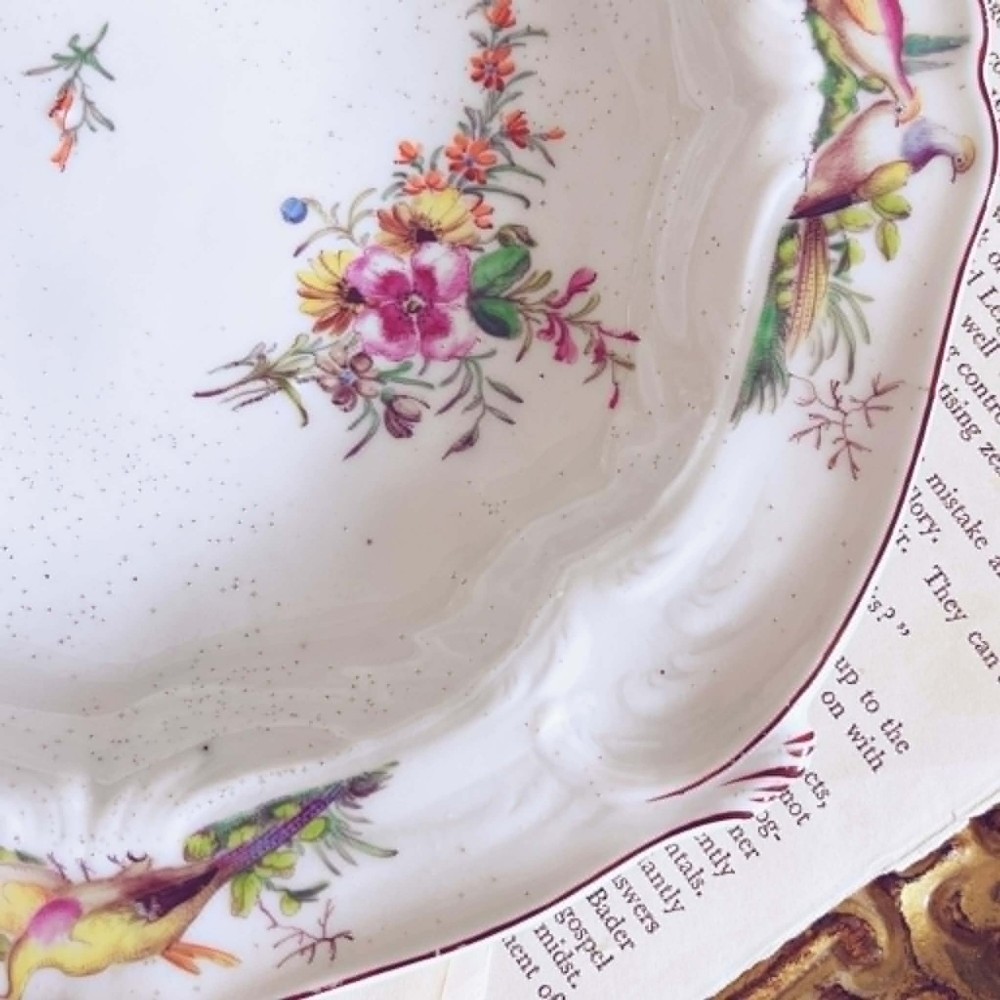 A white soft-paste porcelain moulded dish featuring hand-painted polychrome birds along the scalloped rim and floral sprigs in the centre. View VII