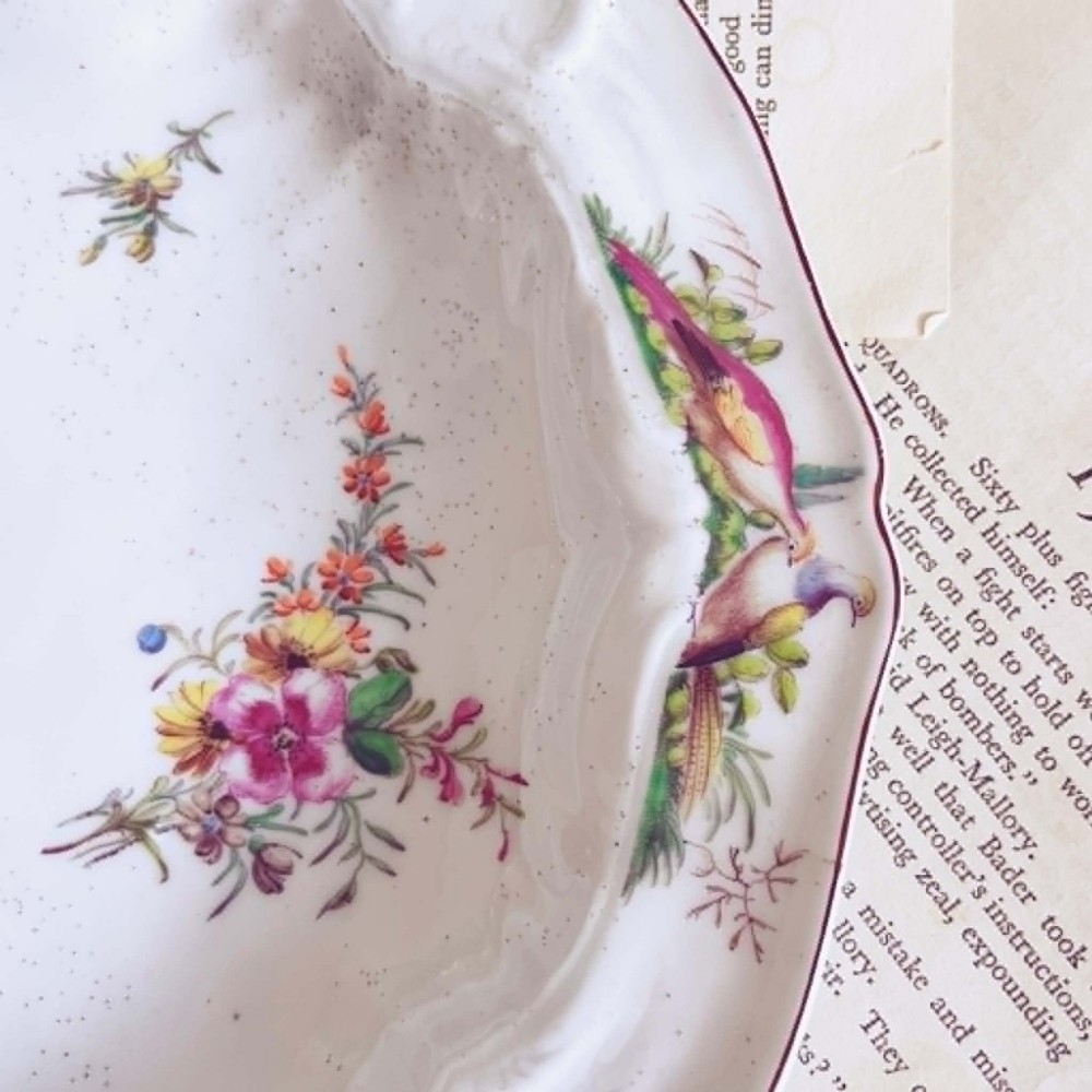 A white soft-paste porcelain moulded dish featuring hand-painted polychrome birds along the scalloped rim and floral sprigs in the centre. View VIII
