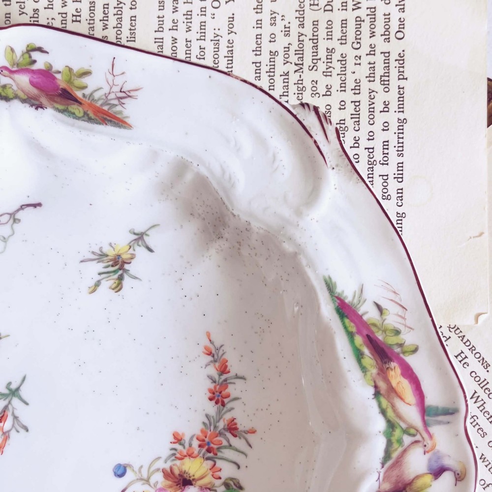 A white soft-paste porcelain moulded dish featuring hand-painted polychrome birds along the scalloped rim and floral sprigs in the centre. View IX