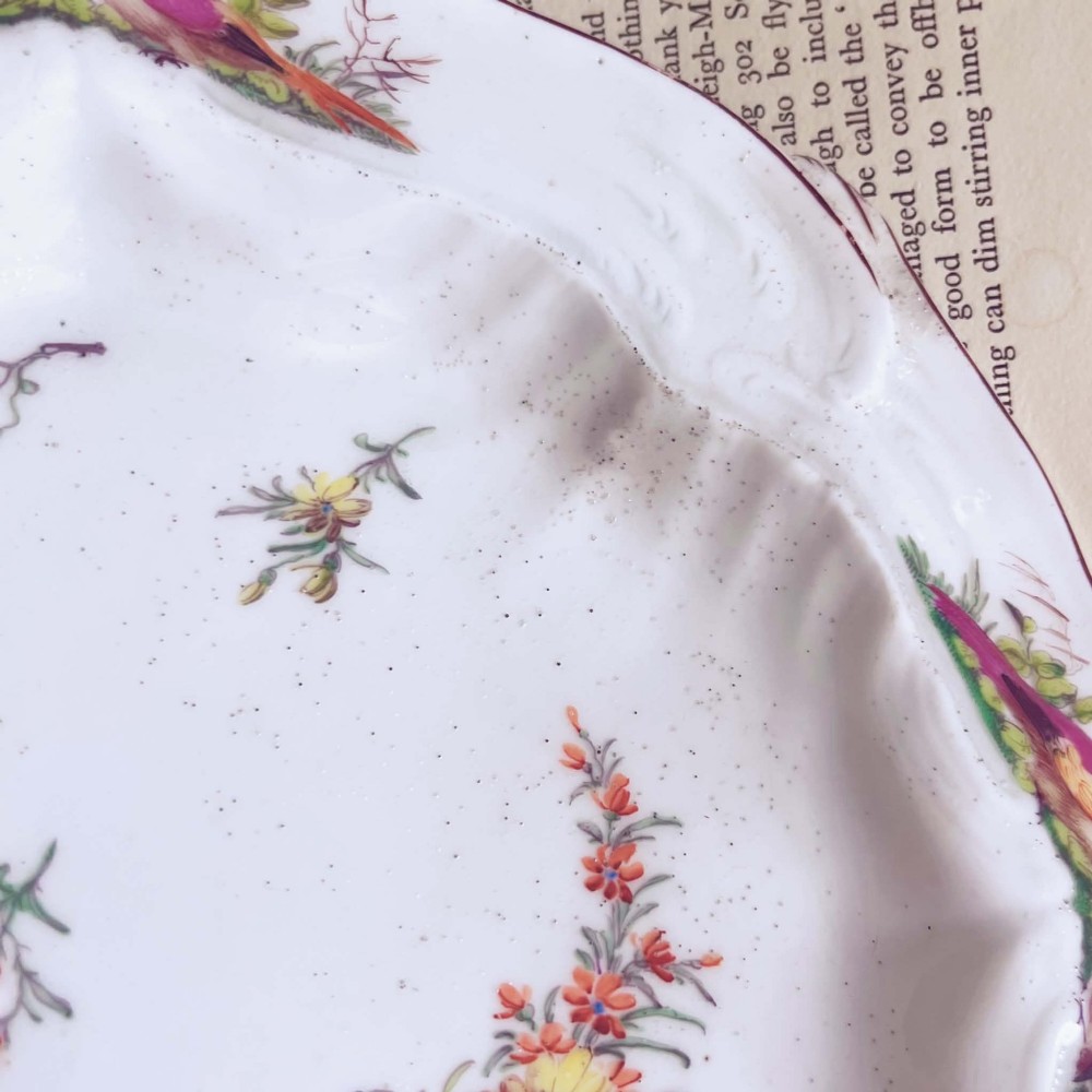 A white soft-paste porcelain moulded dish featuring hand-painted polychrome birds along the scalloped rim and floral sprigs in the centre. View X