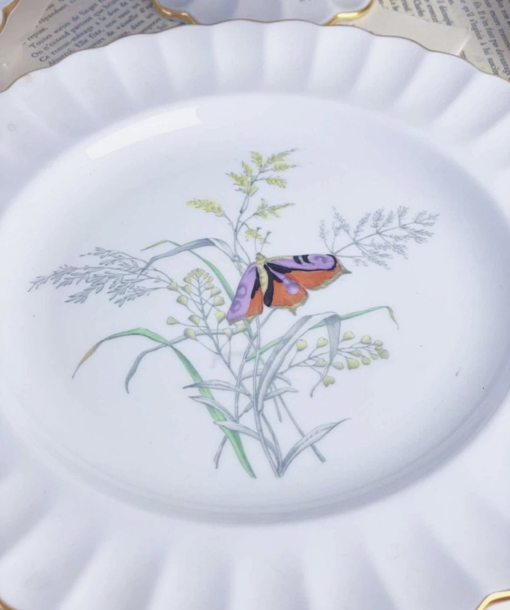 A set of white bone china dessert plates featuring scalloped gilded edges and botanical butterfly illustrations at the centre. View VI