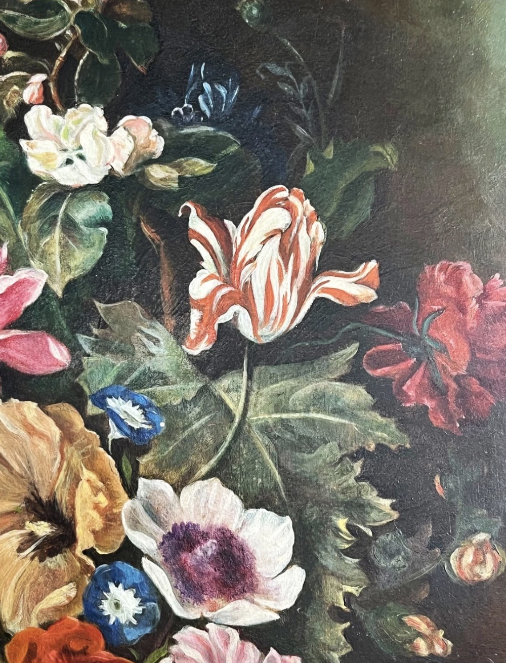 A framed oil painting depicting a floral arrangement in a urn with fruit at the base, housed within an ornate gilt gesso frame. View XII