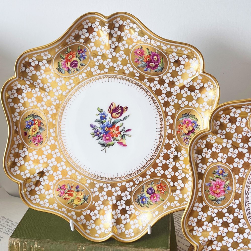 A pair of late Victorian Coalport bone china cabinet plates featuring scalloped rims heavily detailed with gold leaf, white geometric patterns, and central hand-painted floral sprays. View IX