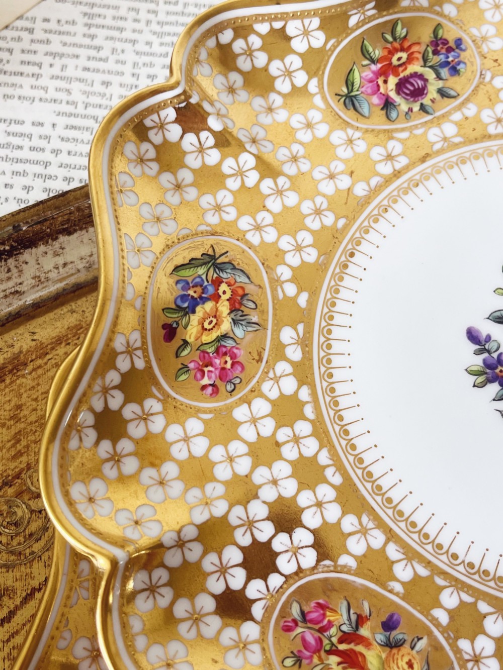 A pair of late Victorian Coalport bone china cabinet plates featuring scalloped rims heavily detailed with gold leaf, white geometric patterns, and central hand-painted floral sprays. View XII