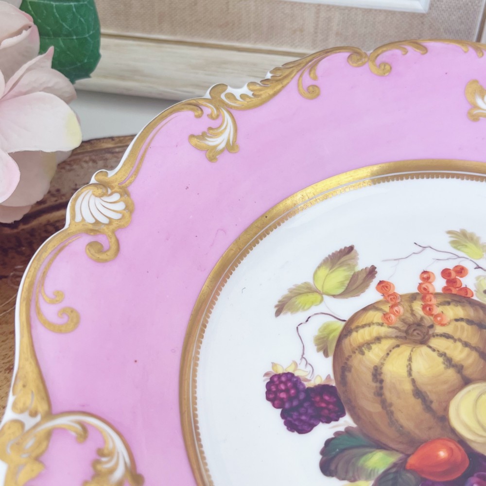 A round early nineteenth-century porcelain footed comport with a rose pink border, gilded shell edge moulding, and a hand-painted central fruit motif. View VIII