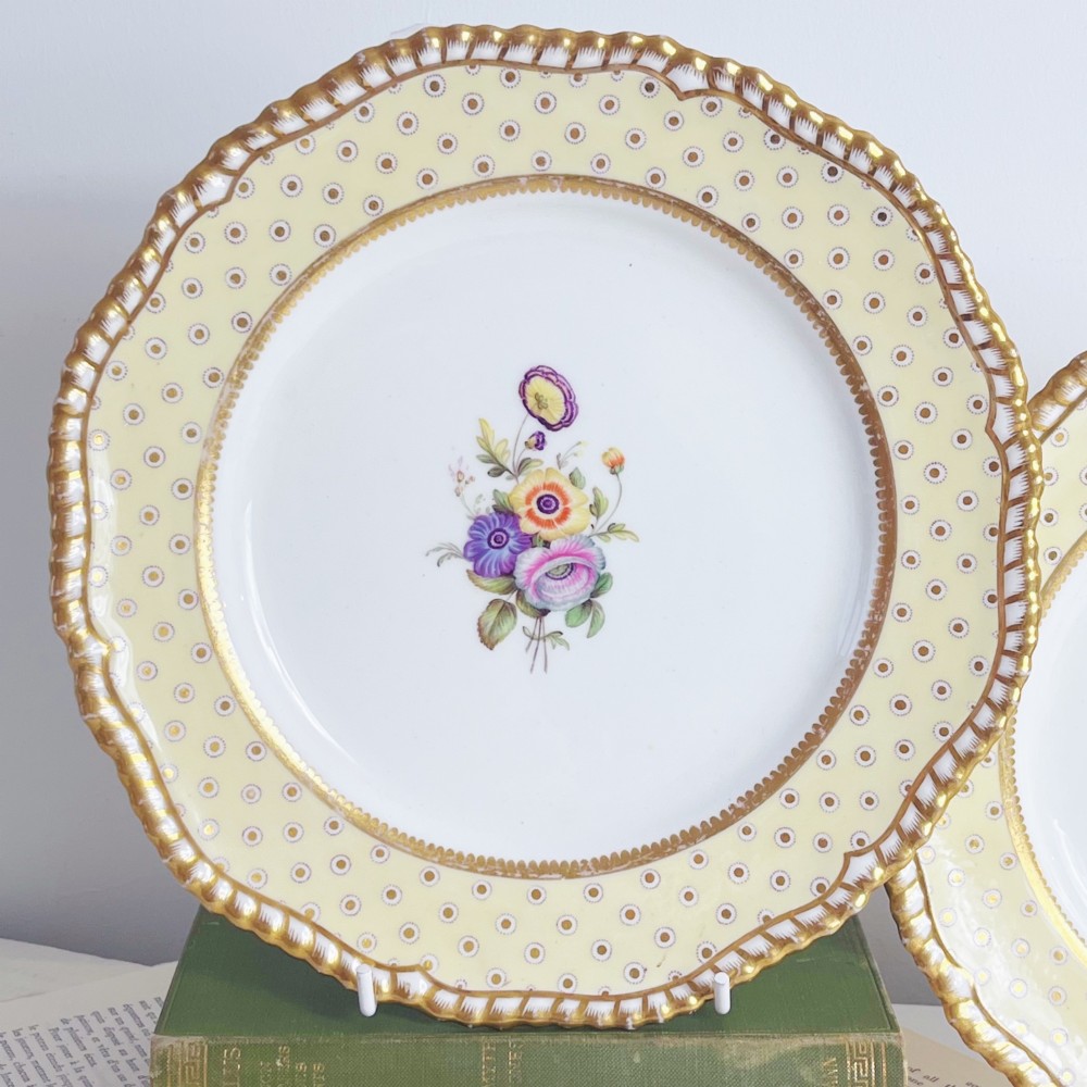 A pair of Regency period Spode Felspar porcelain dessert plates featuring pale yellow patterned rims with gilded scalloped edges and central hand-painted floral sprays. View III