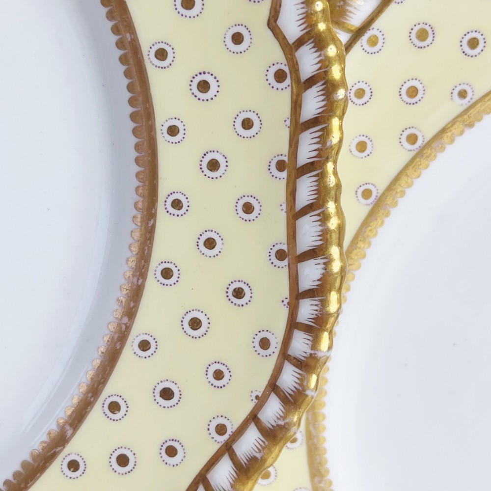 A pair of Regency period Spode Felspar porcelain dessert plates featuring pale yellow patterned rims with gilded scalloped edges and central hand-painted floral sprays. View V