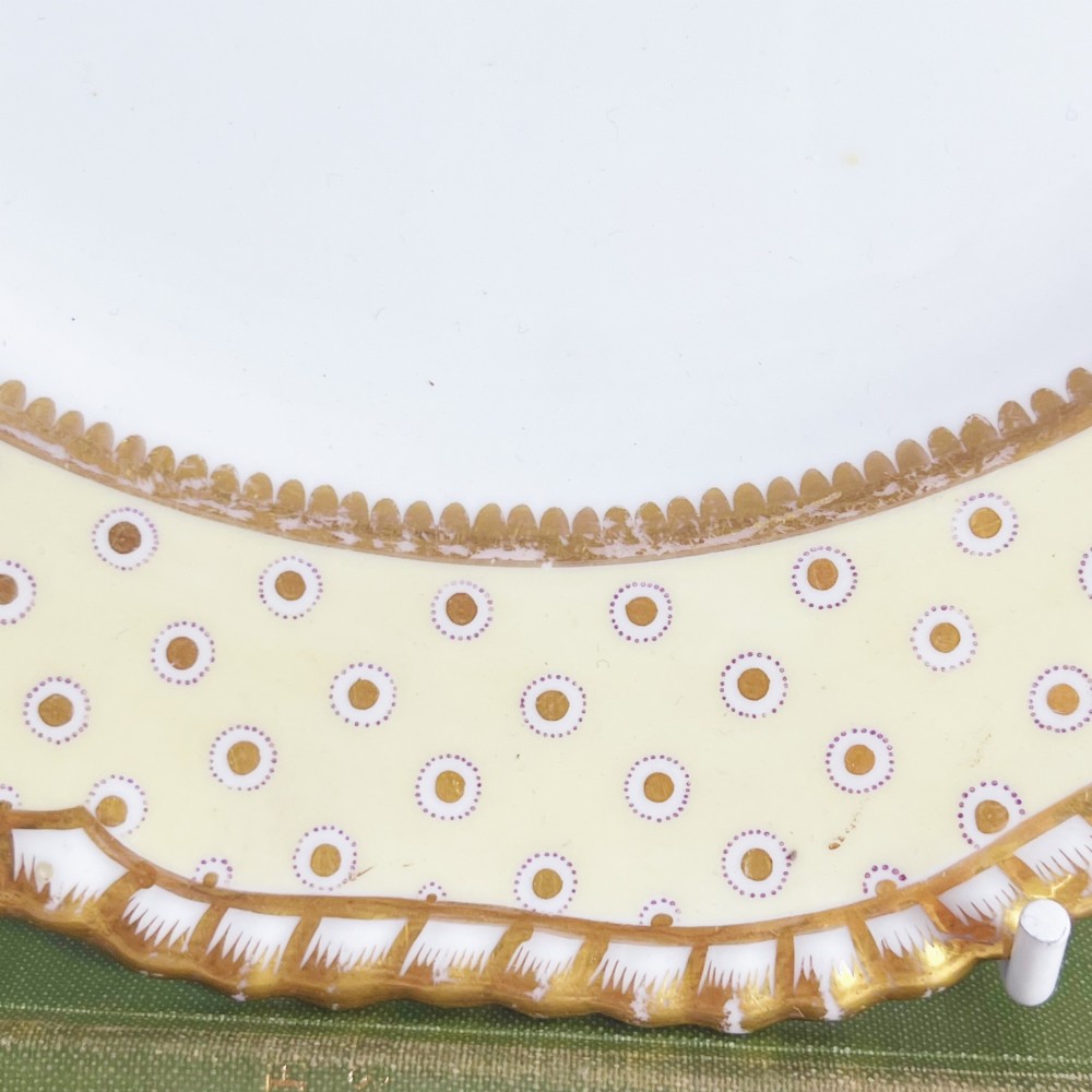 A pair of Regency period Spode Felspar porcelain dessert plates featuring pale yellow patterned rims with gilded scalloped edges and central hand-painted floral sprays. View VII