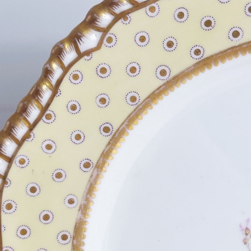 A pair of Regency period Spode Felspar porcelain dessert plates featuring pale yellow patterned rims with gilded scalloped edges and central hand-painted floral sprays. View IX