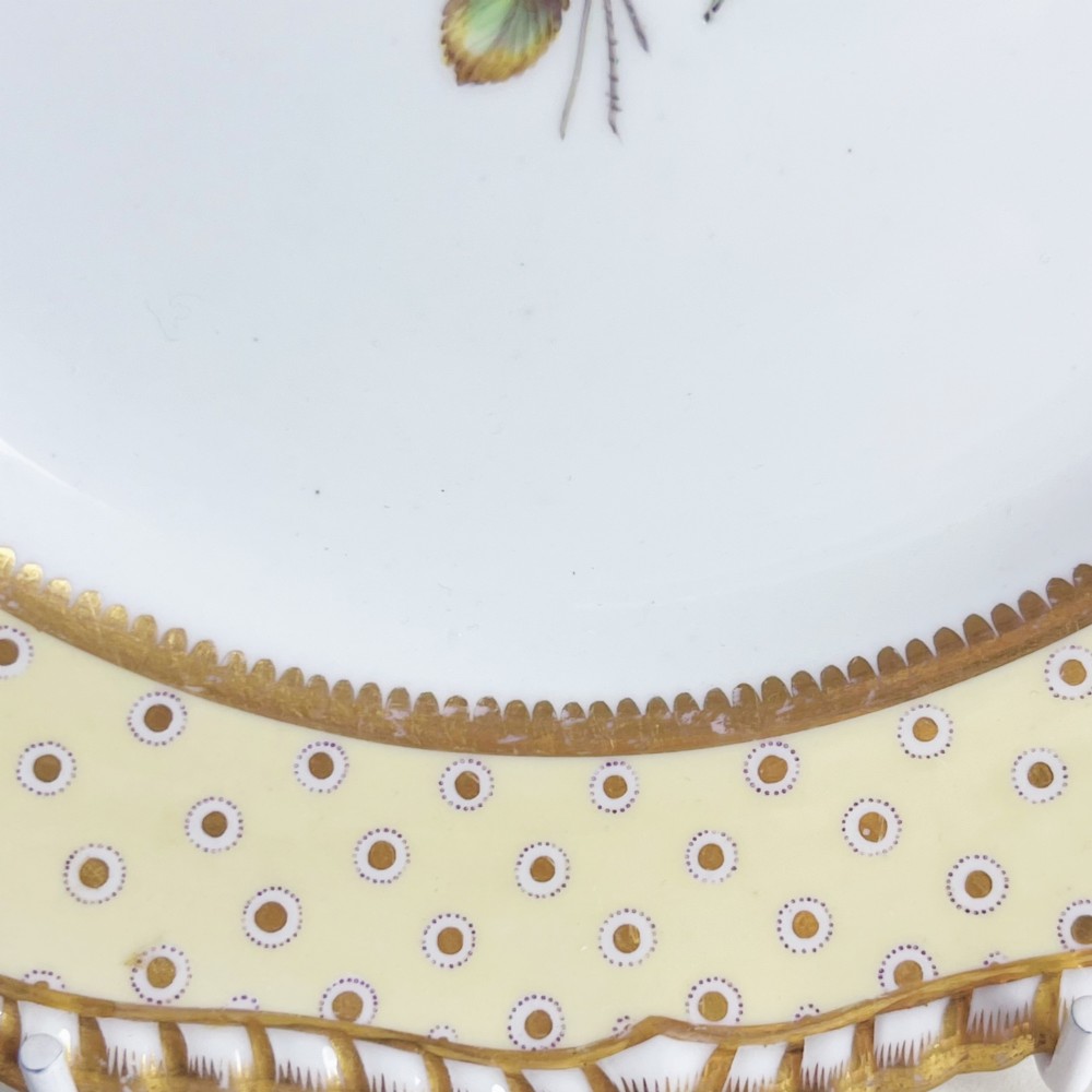 A pair of Regency period Spode Felspar porcelain dessert plates featuring pale yellow patterned rims with gilded scalloped edges and central hand-painted floral sprays. View XI