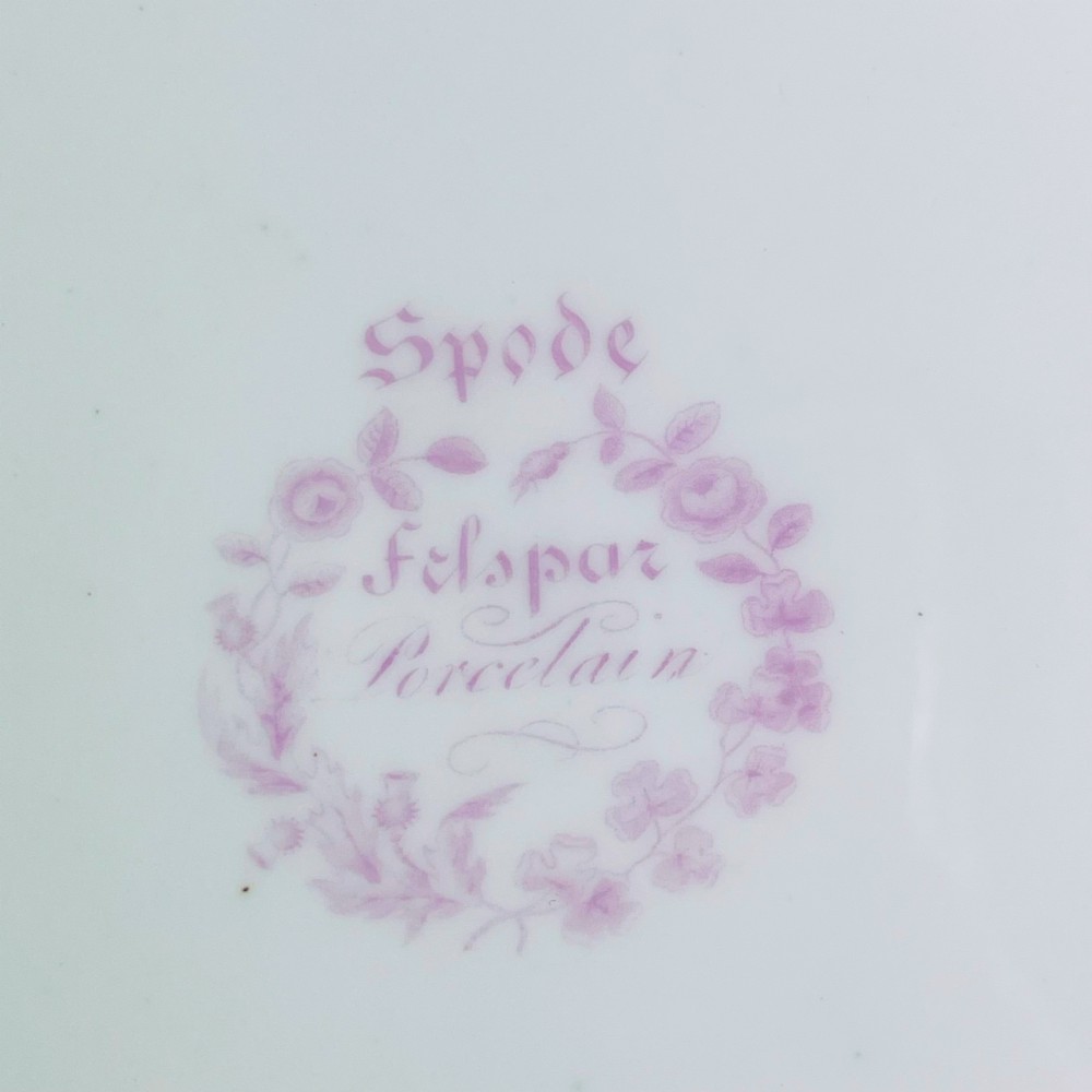 A pair of Regency period Spode Felspar porcelain dessert plates featuring pale yellow patterned rims with gilded scalloped edges and central hand-painted floral sprays. View XII