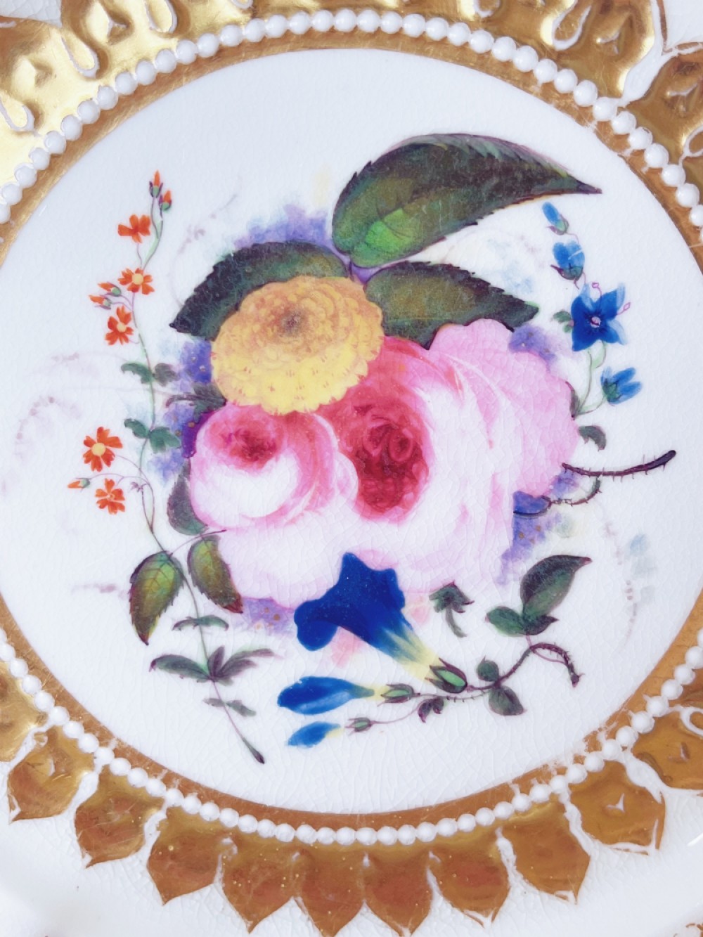 An eight-piece Regency Grainger Lee & Co porcelain dessert service with gold leaf borders and hand-painted floral centres against a white ground. View XII