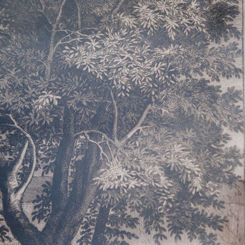 ENGRAVING OF POUSSINS THE SUMMER RUTH BOAZ A TIMELESS 17TH CENTURY TREASURE - ADDITIONAL PHOTO 9