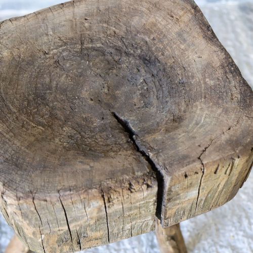 19TH CENTURY FRENCH ELM CHOPPING BLOCK ON ORIGINAL GNARLED LEGS VERNACULAR RURAL STYLE - ADDITIONAL PHOTO 10