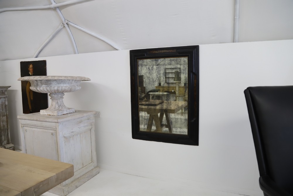 French 19th Century Ebonised and Faux Tortoiseshell Framed Mirror View X