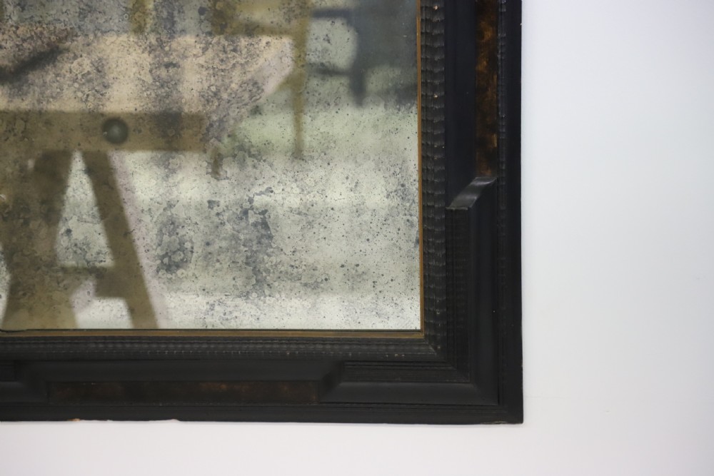 French 19th Century Ebonised and Faux Tortoiseshell Framed Mirror View XI