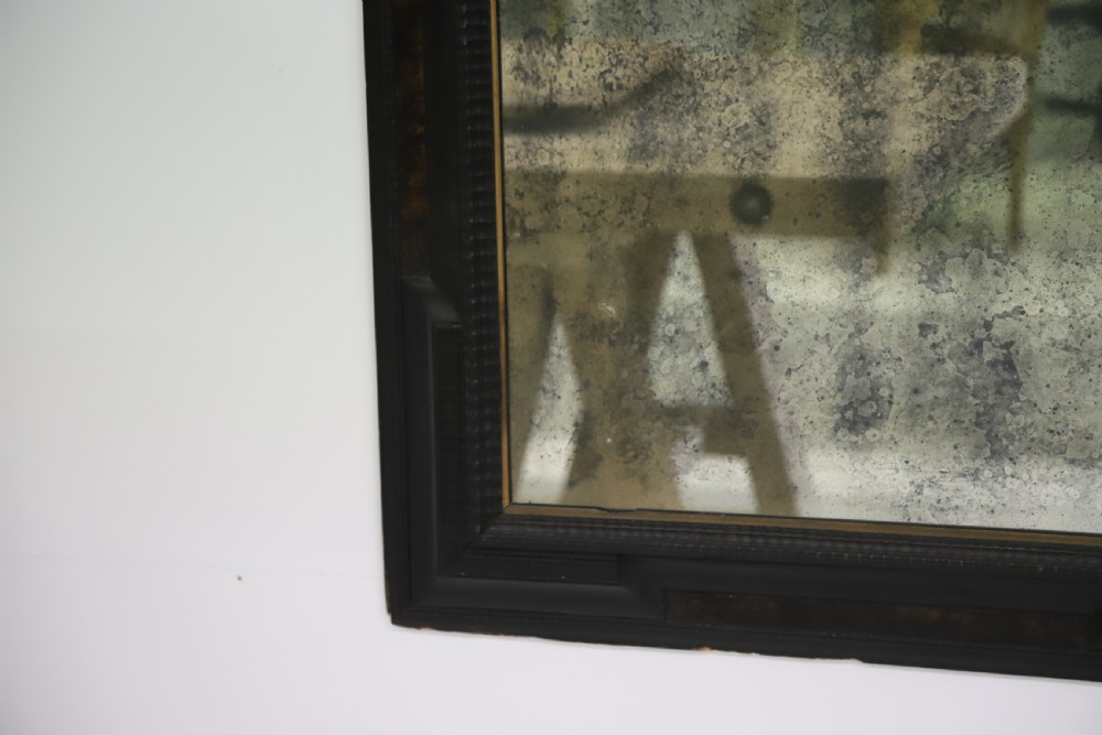 French 19th Century Ebonised and Faux Tortoiseshell Framed Mirror View XII