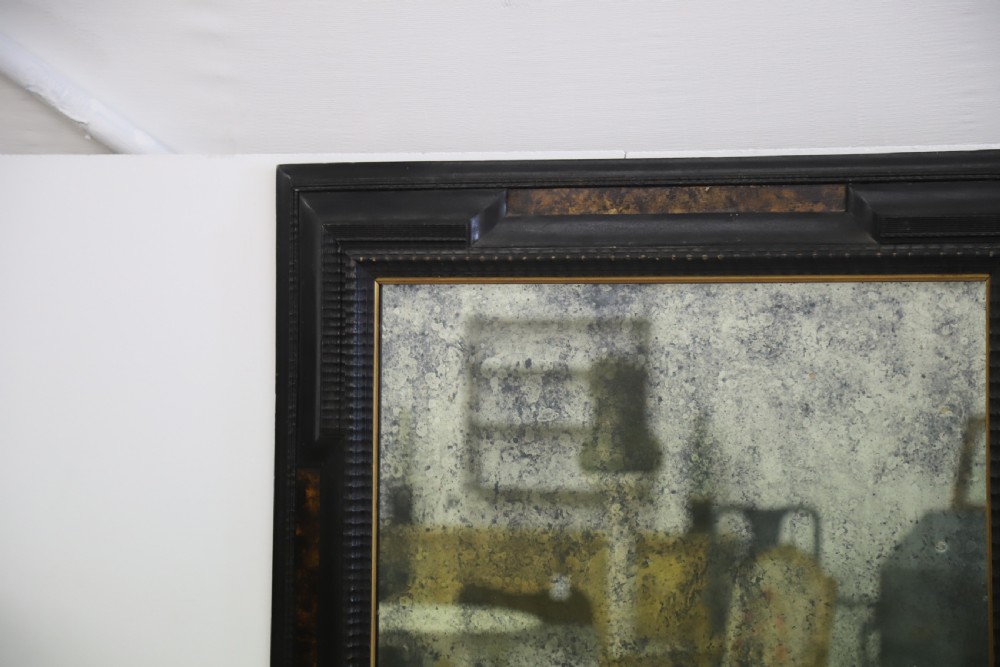 French 19th Century Ebonised and Faux Tortoiseshell Framed Mirror View XIII