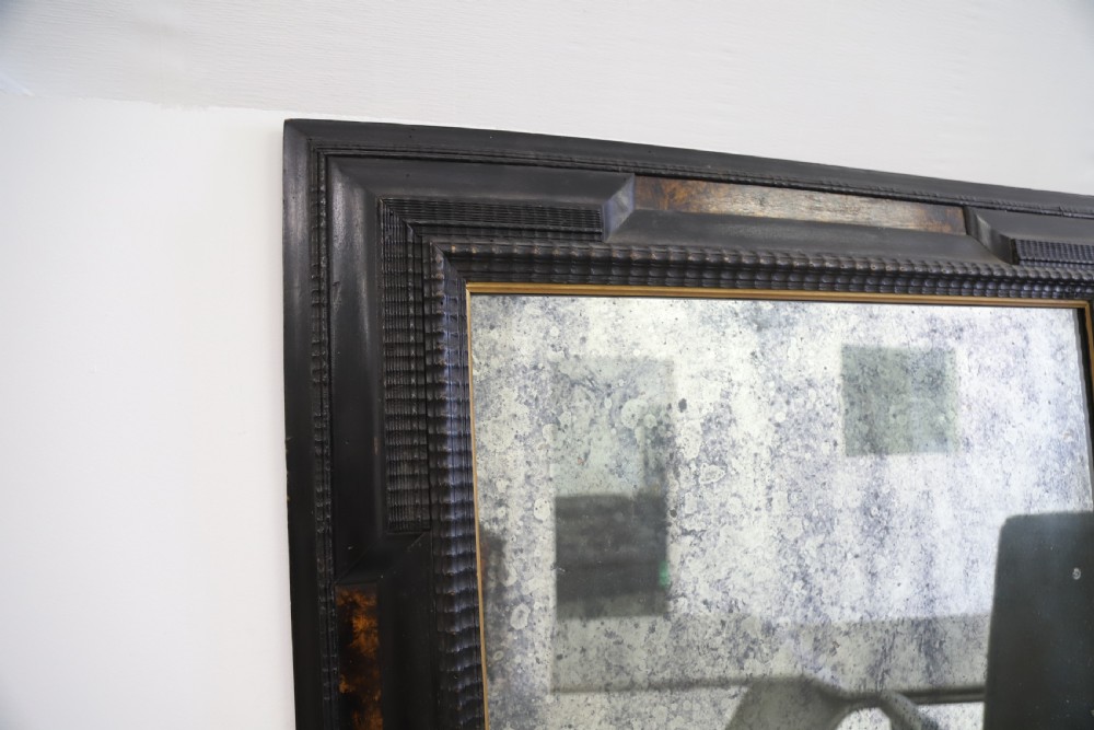 French 19th Century Ebonised and Faux Tortoiseshell Framed Mirror View XV