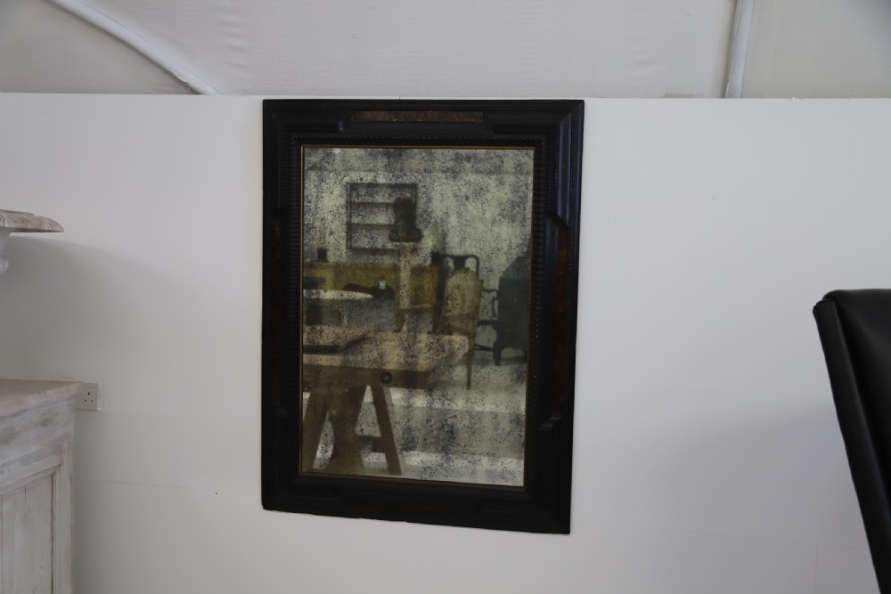 French 19th Century Ebonised and Faux Tortoiseshell Framed Mirror View XVI
