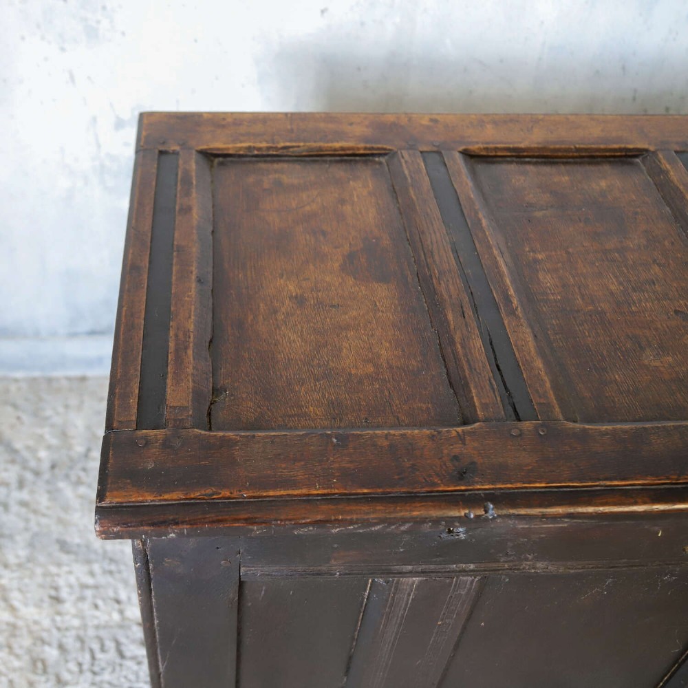 A dark oak coffer featuring four hand-carved Gothic arch panels, a fluted frieze, and a sturdy four-panel hinged lid. View VI