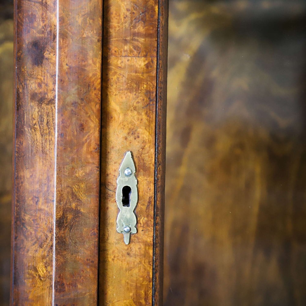 A Dutch walnut-veneered glazed cabinet featuring an arched top, glass paned upper doors, a shaped lower drawer section, and cabriole legs with claw and ball feet. View VII