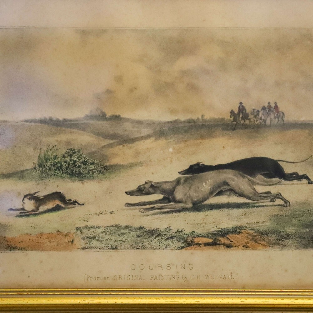 An 1830s framed lithograph depicting two greyhounds pursuing a hare across a field within a moulded gold frame. View III