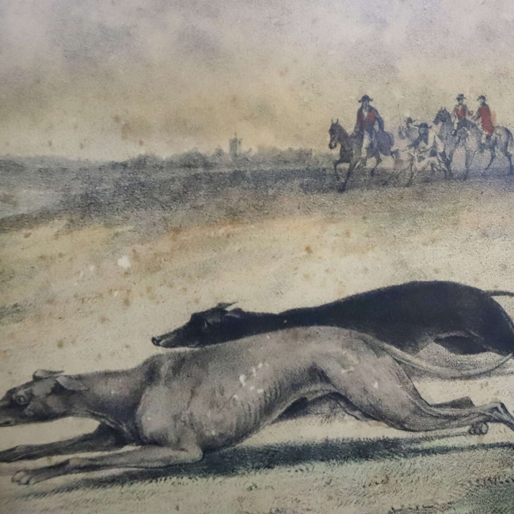 An 1830s framed lithograph depicting two greyhounds pursuing a hare across a field within a moulded gold frame. View V