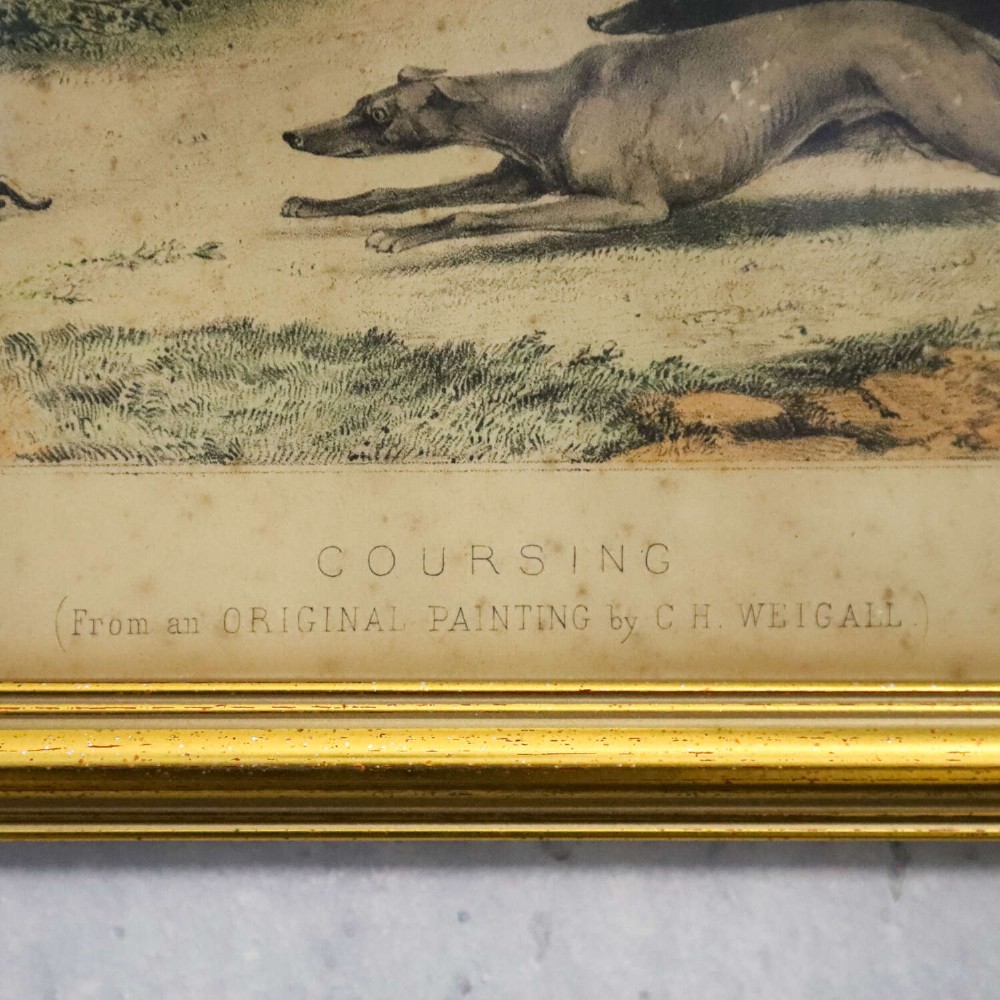 An 1830s framed lithograph depicting two greyhounds pursuing a hare across a field within a moulded gold frame. View VI