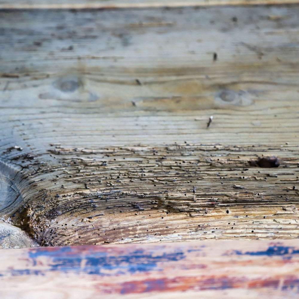 A rustic early twentieth-century Welsh pine work table featuring a thick timber plank top, deep apron, and simple straight square legs with a distressed finish. View VIII