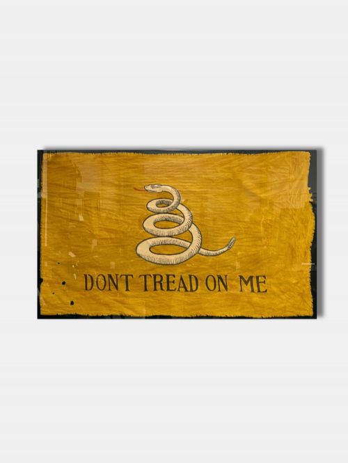 C 1900 FRAMED GADSDEN FLAG 'DON'T TREAD ON ME' AMERICAN - ADDITIONAL PHOTO 2