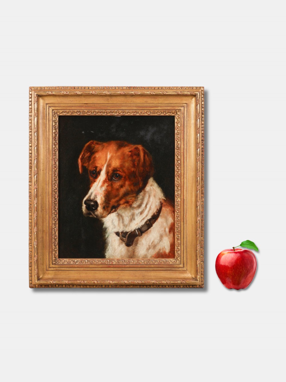 An oil painting on board depicting a brown and white Jack Russell terrier wearing a leather collar, set within a moulded gilt frame.