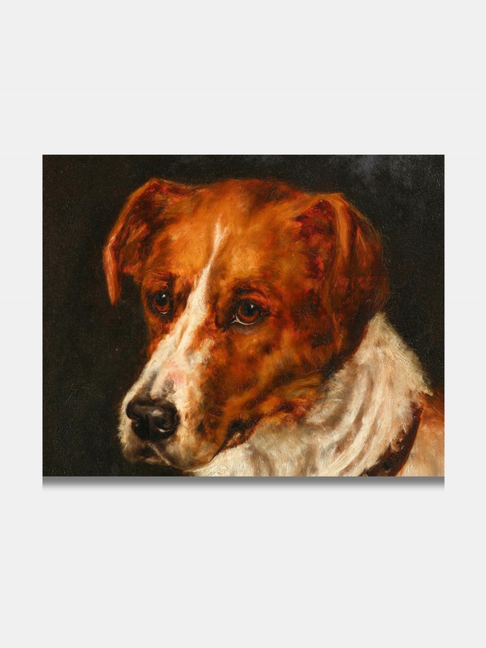An oil painting on board depicting a brown and white Jack Russell terrier wearing a leather collar, set within a moulded gilt frame. View III