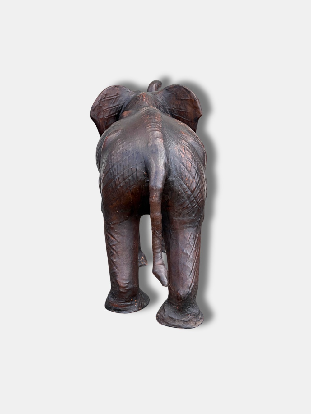 Alternate View