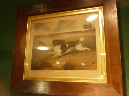 Antique King Charles Spaniel Print