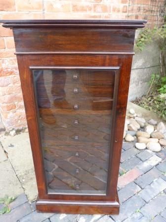Antique William IV Specimen Cabinet