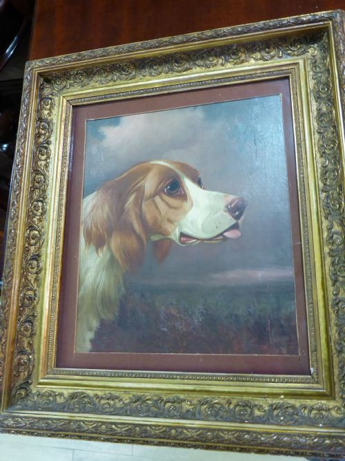 Oil Painting Colin Graham Setter Dog Superb