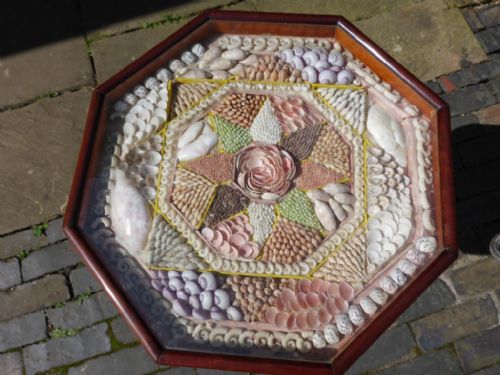 Rare Shell Work Specimen Table