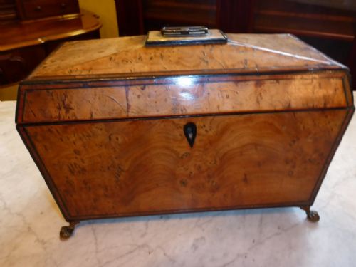 Antique Georgian Burr Elm Tea Caddy
