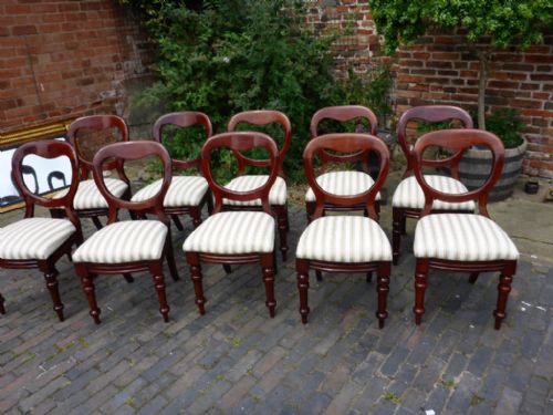 A Set of 10 Victorian Mahogany Balloon Back Dining Chairs