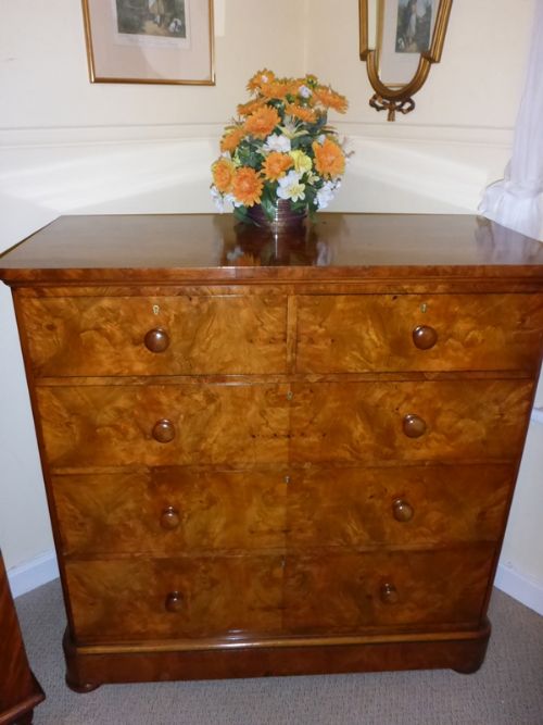 Super Victorian Burr Walnut Chest of Drawers