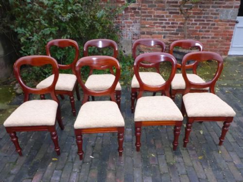 A Set of 8 Victorian Mahogany Balloon Back Dining Chairs