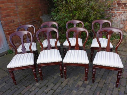 A Set of 8 Victorian Mahogany Dining Chairs Balloon Backs