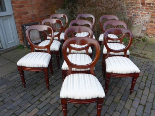 A Set of 10 Victorian Mahogany Balloon Back Dining Chairs