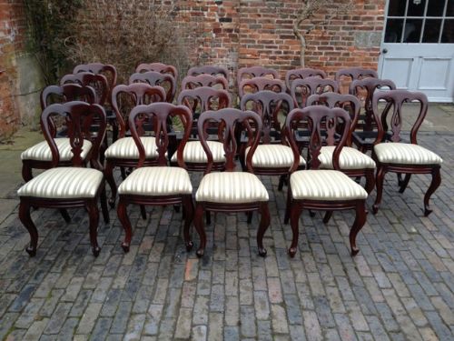 A Rare Set of 22 Victorian Mahogany Balloon Back Dining Chairs