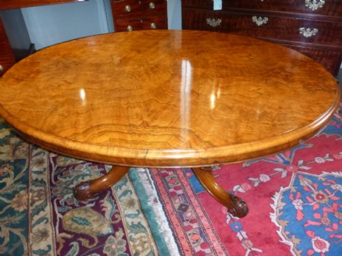 Victorian Burr Walnut Coffee Table Oval Top