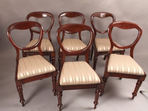 Set of Six  Victorian Mahogany Balloon Back Dining Chairs