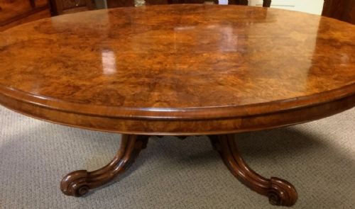 Victorian Burr Walnut Coffee Table